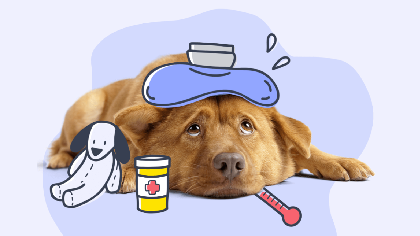How to Tell if a Dog Is Sick