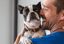Natural Pet Wellness Tips