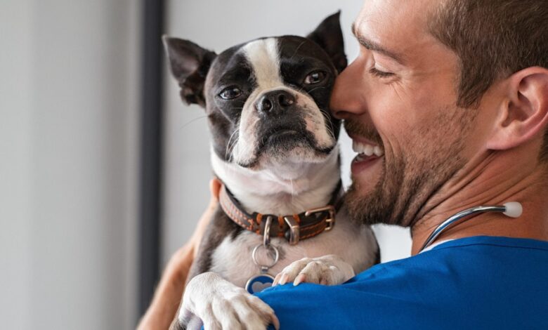 Natural Pet Wellness Tips