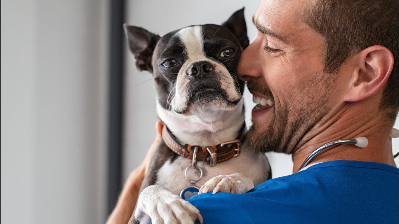 Natural Pet Wellness Tips
